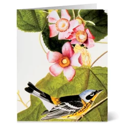 The Met Store Notecards & Correspondence*Audubon Birds Notecards