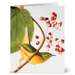 The Met Store Notecards & Correspondence*Audubon Birds Notecards