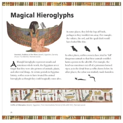 The Met Store Kids' Books*Fun with Hieroglyphs, New Edition