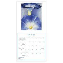 The Met Store Calendars*Georgia O'Keeffe Wall Calendar 2025