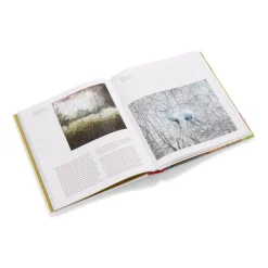 The Met Store Exhibition Catalogues*Gerhard Richter: Painting After All