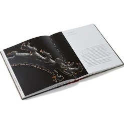 The Met Store Met Publications|Exhibition Catalogues*Lives of the Gods: Divinity in Maya Art