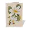 The Met Store Notecards & Correspondence*Studies of Magnolias Quilled Card
