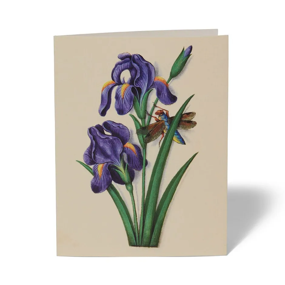 The Met Store Notecards & Correspondence*The Met Cloisters Garden Notecards