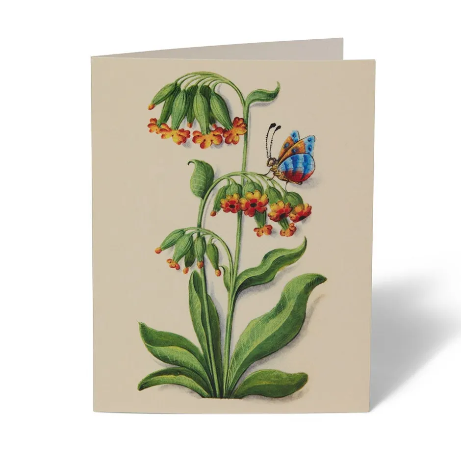 The Met Store Notecards & Correspondence*The Met Cloisters Garden Notecards