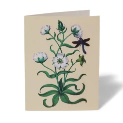 The Met Store Notecards & Correspondence*The Met Cloisters Garden Notecards