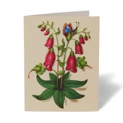 The Met Store Notecards & Correspondence*The Met Cloisters Garden Notecards